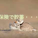 保険で貯蓄をしてはいけない3つの理由