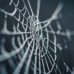 お金の相談に一円も払いたくない病の人は結局一番損をする