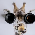 自分の「目」を鍛えることが重要な時代